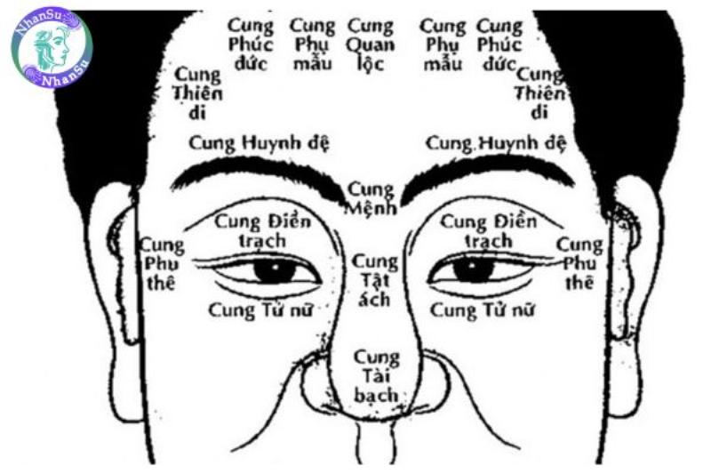 Cách vận dụng kiến thức tử vi và phong thủy để cải thiện cung điền trạch